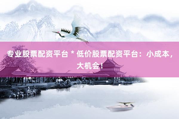 专业股票配资平台 * 低价股票配资平台：小成本，大机会！