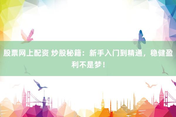 股票网上配资 炒股秘籍：新手入门到精通，稳健盈利不是梦！
