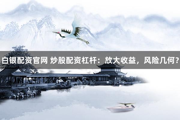 白银配资官网 炒股配资杠杆：放大收益，风险几何？