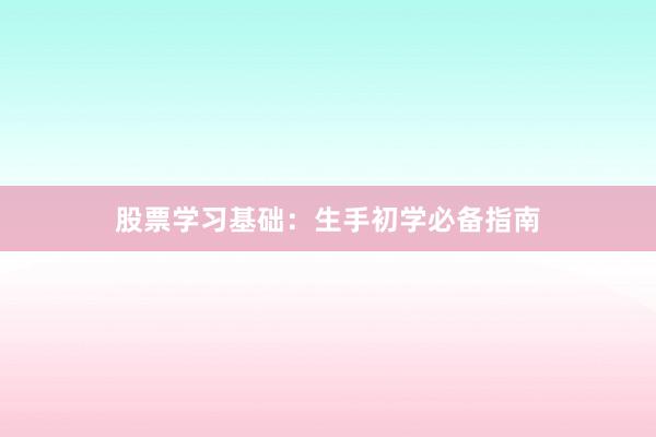 股票学习基础:生手初学必备指南