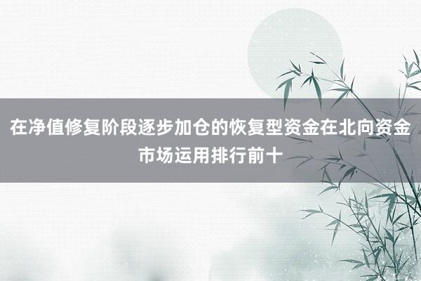 在净值修复阶段逐步加仓的恢复型资金在北向资金市场运用排行前十