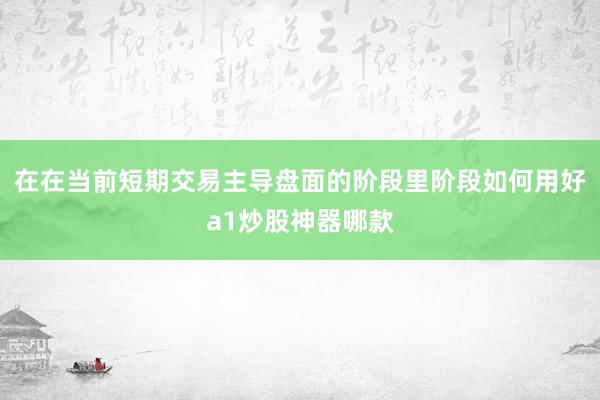 在在当前短期交易主导盘面的阶段里阶段如何用好a1炒股神器哪款