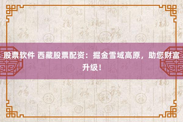 股票软件 西藏股票配资：掘金雪域高原，助您财富升级！
